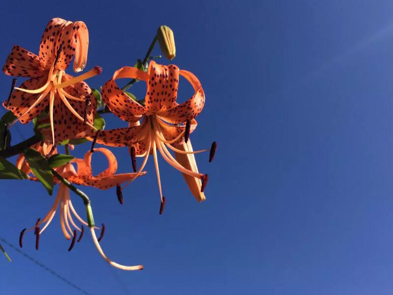 手拍世界,手拍世界近期作品