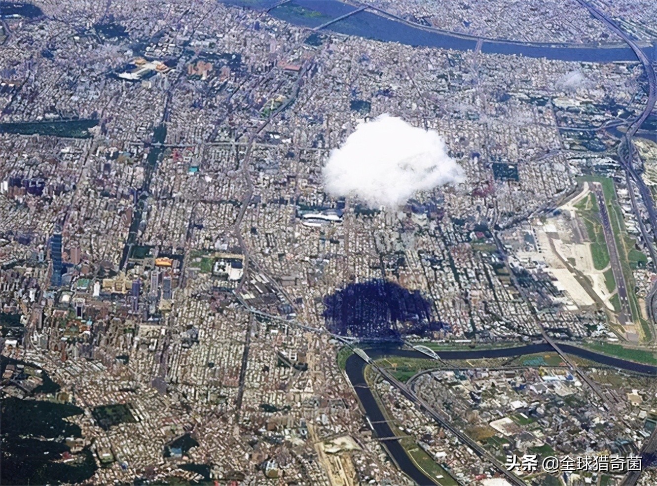 活久见的奇妙动物照片,活久见的神奇图片