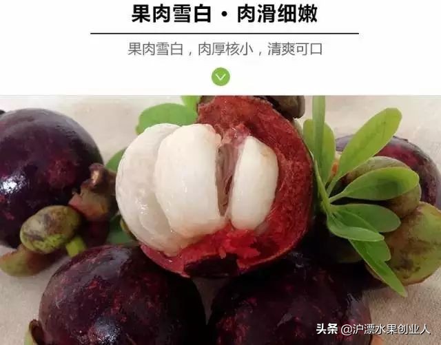 山竹选哪个最好,不会挑山竹记住这几点一挑一个准