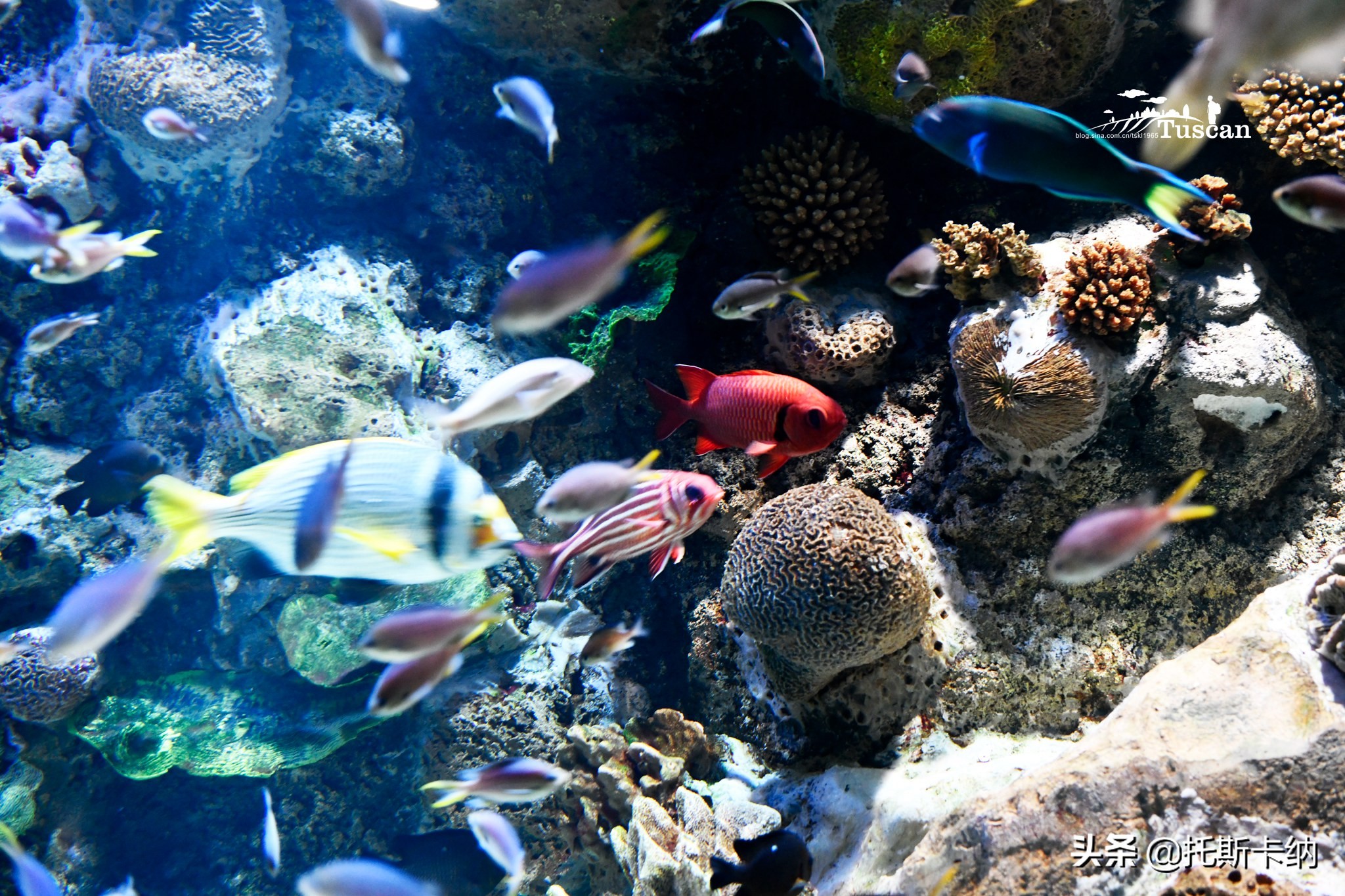 阿联酋沙迦有什么好玩,阿联酋沙迦景点介绍