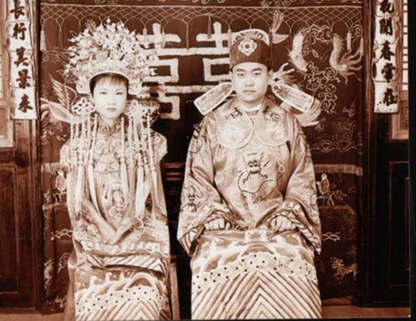 陈丹蕾美国,陈丹蕾个人简介