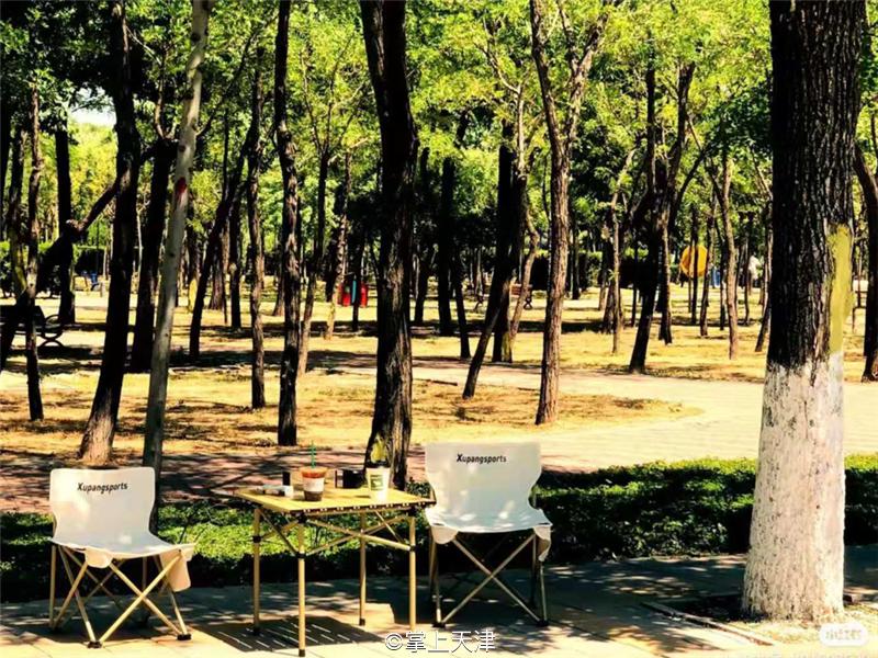 滨海生态城动物园,塘沽5块钱动物园