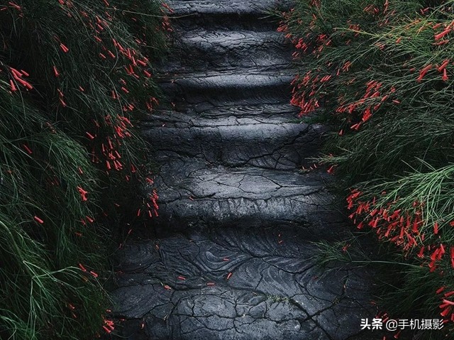 ippa摄影大赛年度总冠军,ippa摄影大赛2014