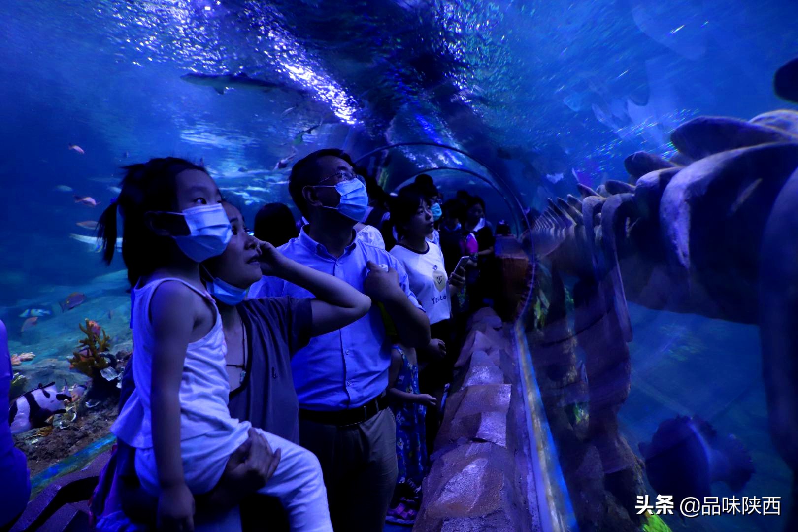 西安曲江海洋馆怎么样,西安曲江海洋馆有什么项目