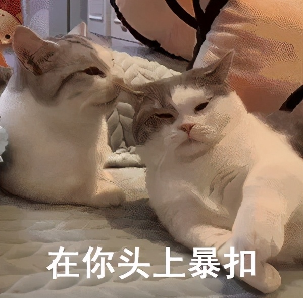 两年就等来个这？这还是柯南吗？