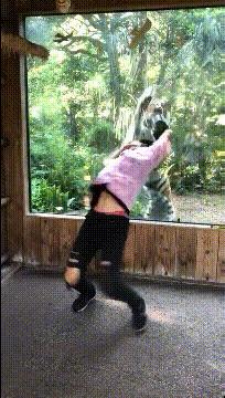 喜欢很久的小哥哥,喜欢了很久的小哥哥