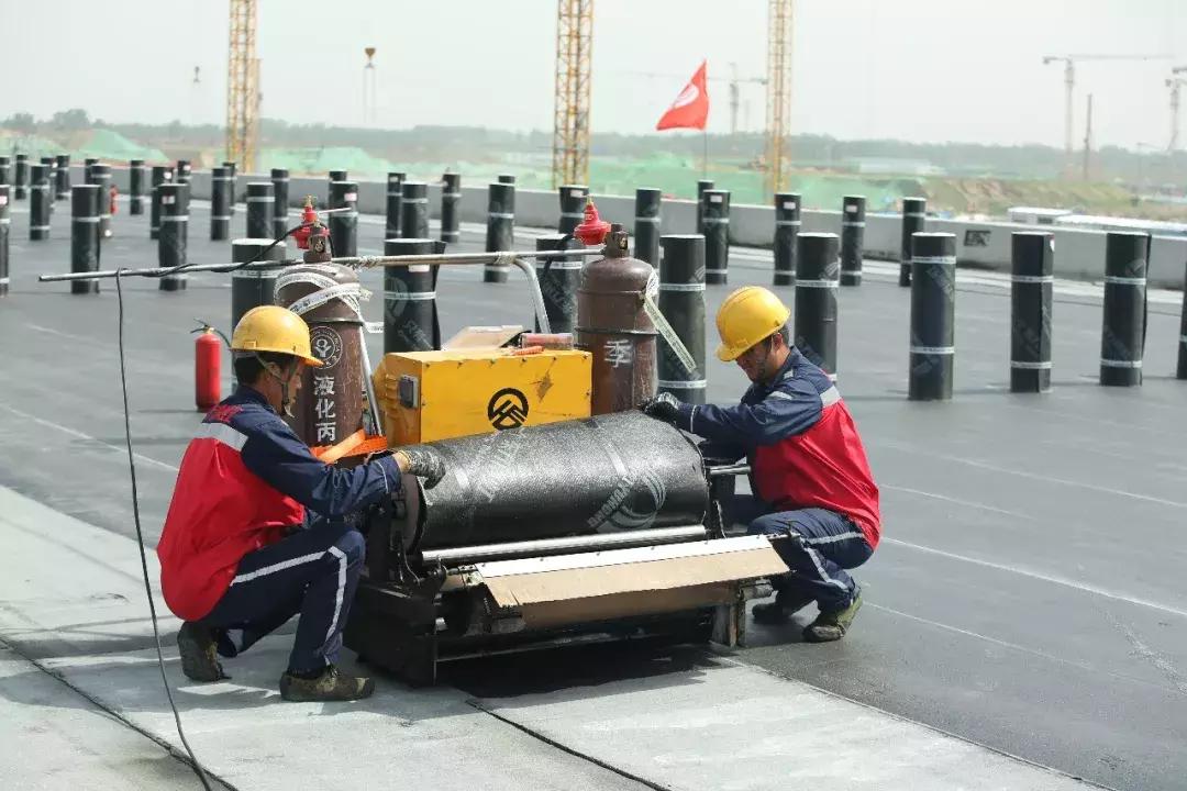 东方雨虹彩色超柔,东方雨虹典雅灰效果图