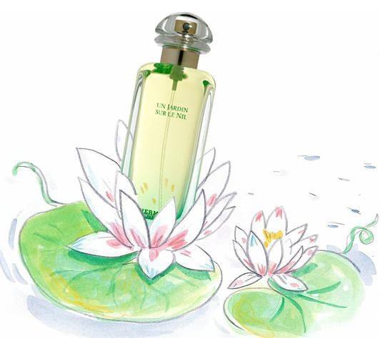 肖战代言的女士香水哪一款最好闻,肖战最新款香水