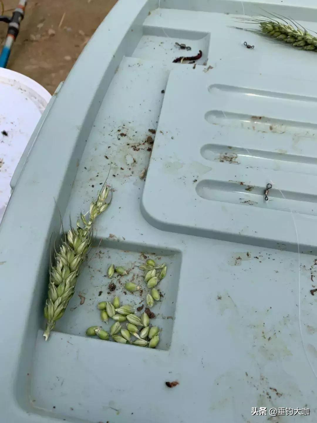 在家没事制作钓鱼浮漂,没事自己制作一根钓鱼竿