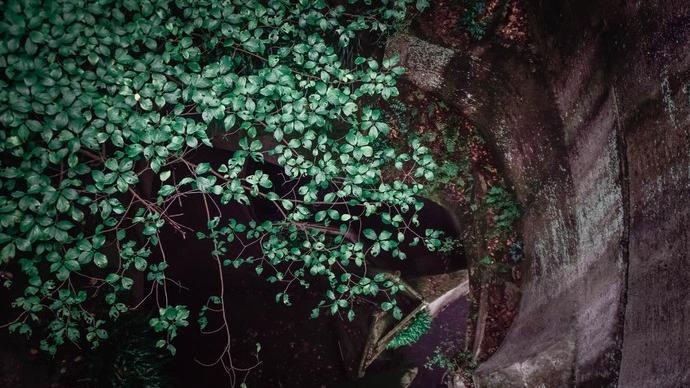 浙江台州市哪个区最好,浙江台州市有哪些地区