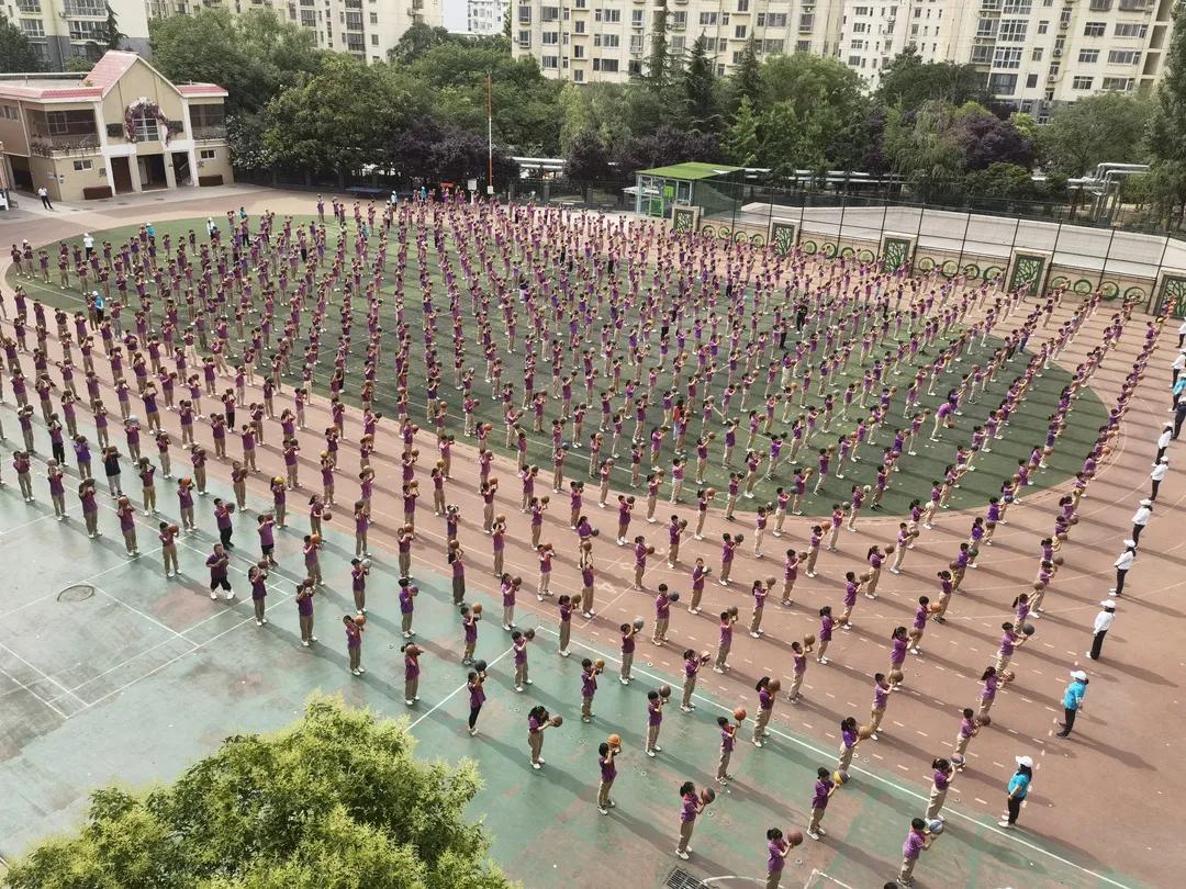 金水区文化绿城小学2018,五项管理中小学校具体如何落实