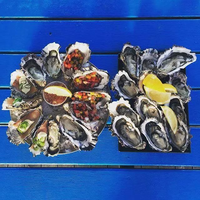 新西兰生蚝泛滥成灾,澳大利亚生蚝泛滥成灾