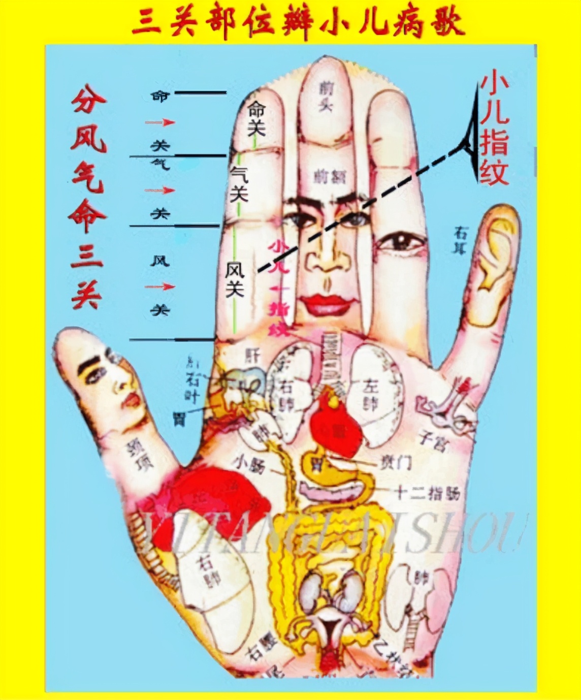 小孩积食脾虚吃什么中药,小孩儿积食脾虚吃什么中药