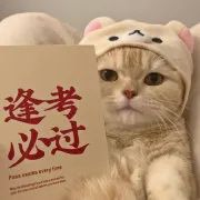 大学生在暑假可以做的有趣的事情,大一新生暑假必做的十件事