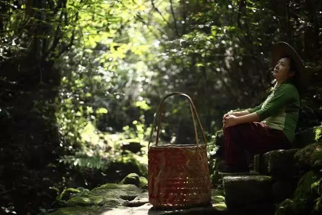 武夷山亲子民宿推荐独栋别墅,武夷山一同山居茶文化民宿