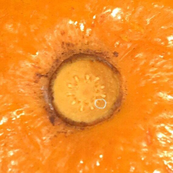 10个让人震惊的冷知识,最有趣的10条冷知识点