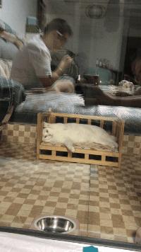 当了一天的摄影师,当了一上午的摄影师