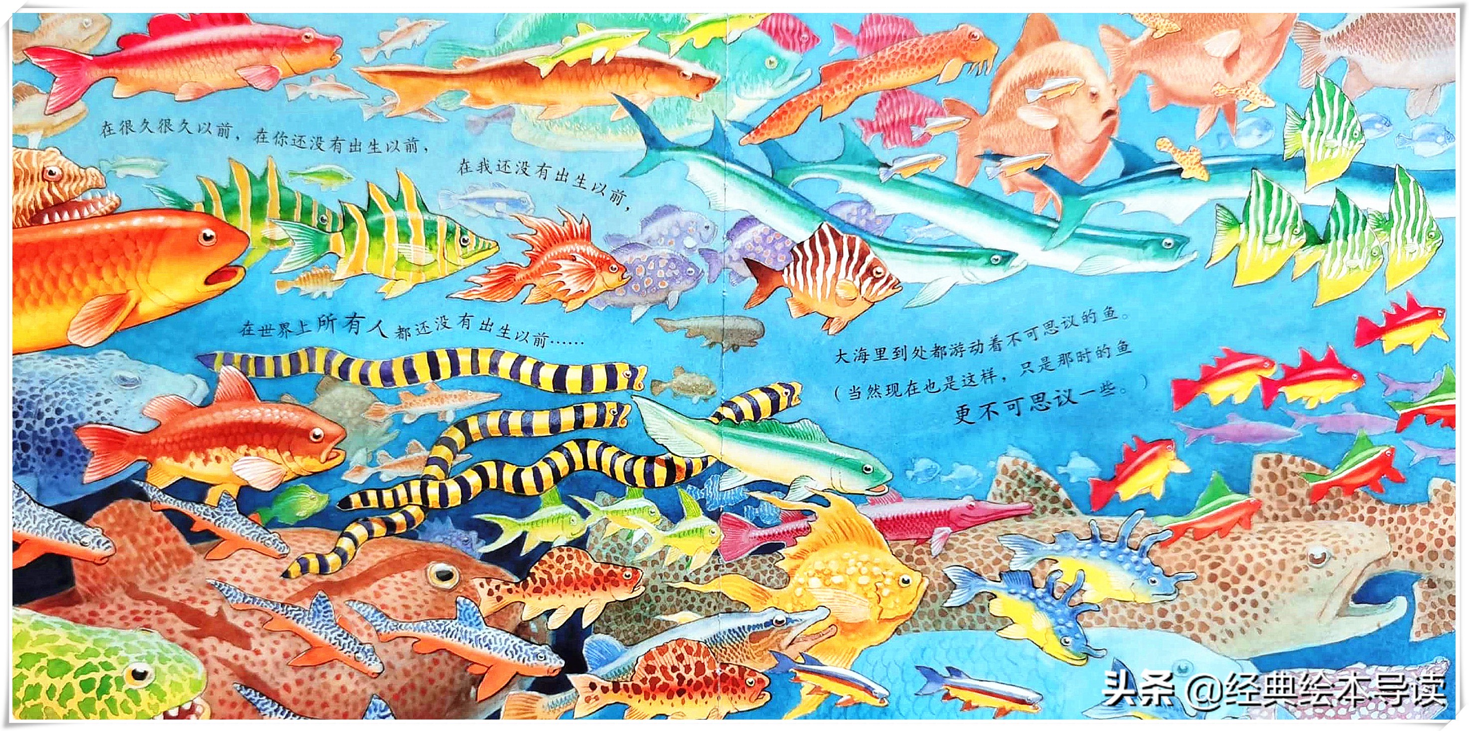 世界因此而改变——《一条聪明的鱼》导读