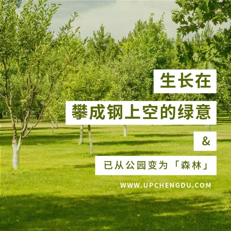 攀成钢的个人资料,攀成钢是谁