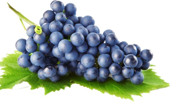 平度水果萝卜,平度十大名吃特产水果