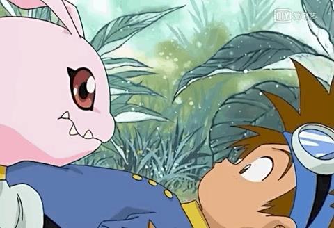 数码暴龙tv版,tvb什么时候播的数码暴龙