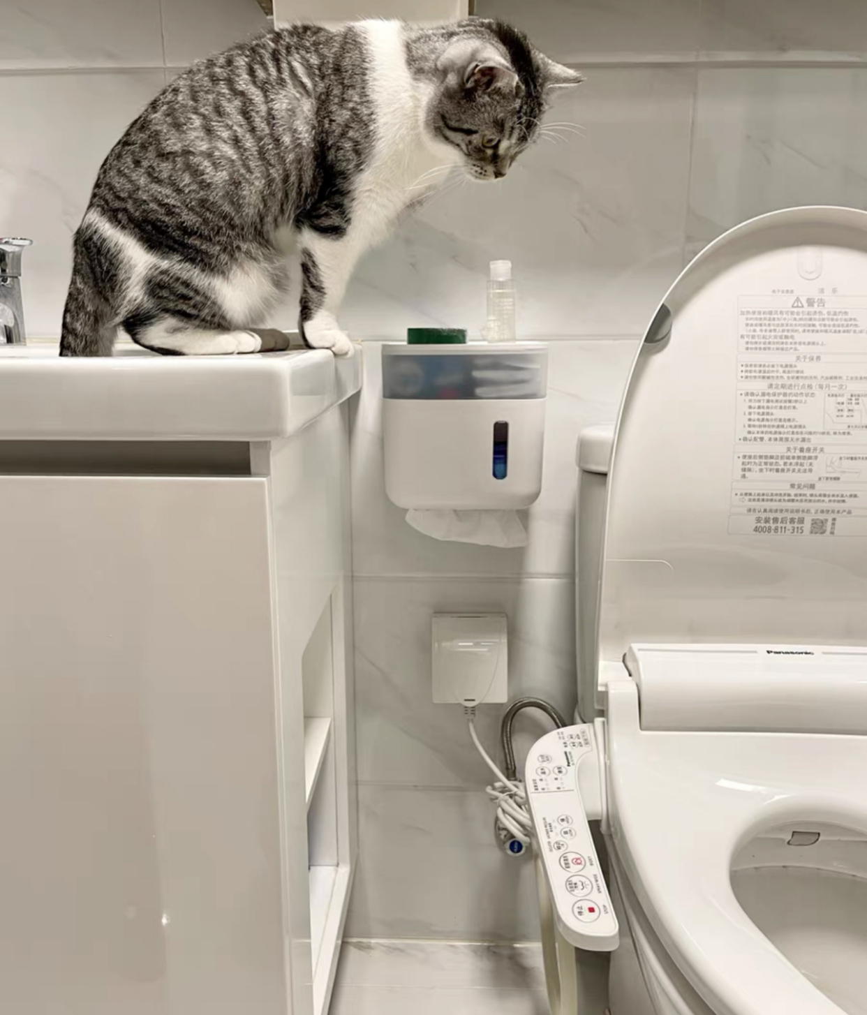 12个好物,独立卫浴必备好物