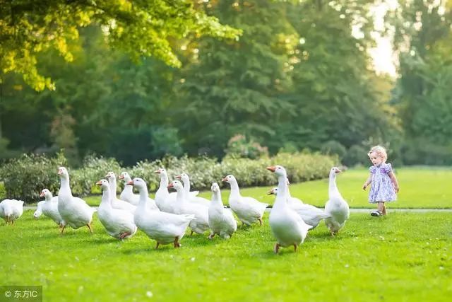 幼儿国学启蒙早教古诗,幼儿学古诗必背100首