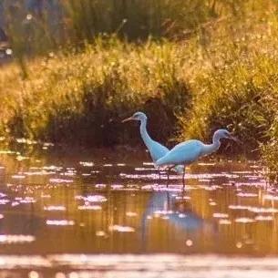 鼓浪屿必去的海岛,珠海坐船去鼓浪屿