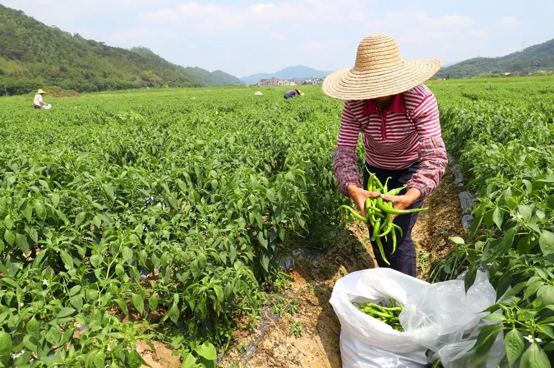 鍗楁鍖楄繍,浜戞诞鍗楁鍖楄繍鐏荆淇濅緵