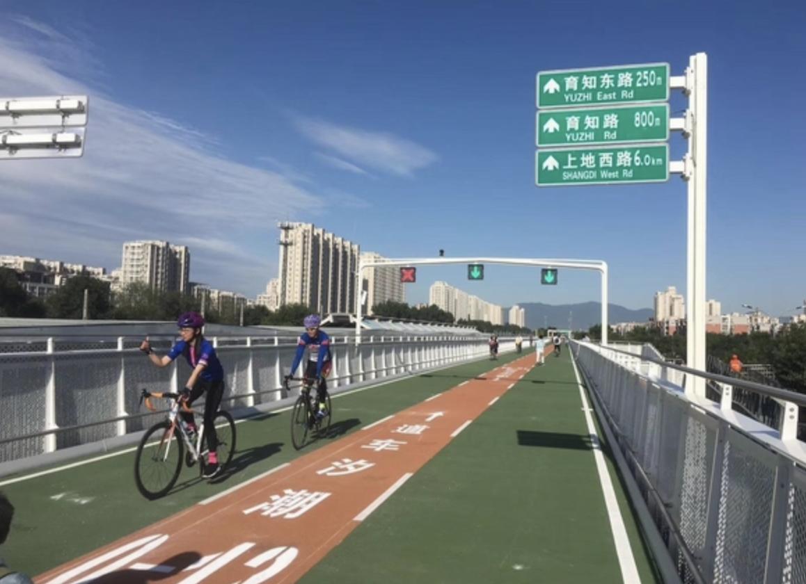 荷兰每年人均骑车1000公里！严重事故发生率最低？还有防偷车妙招