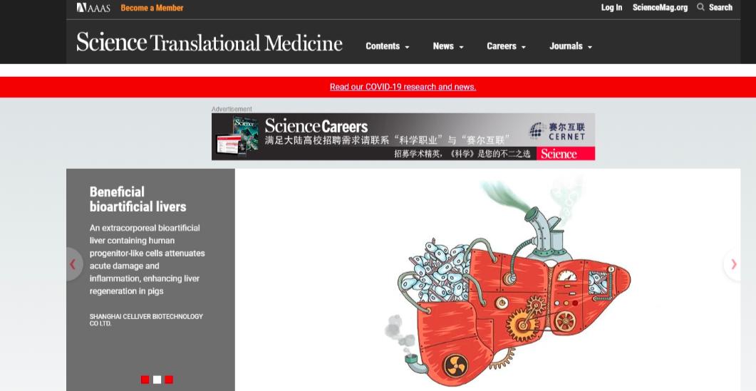 上海仁济医院东院区治疗肝硬化,上海仁济医院治肝硬化