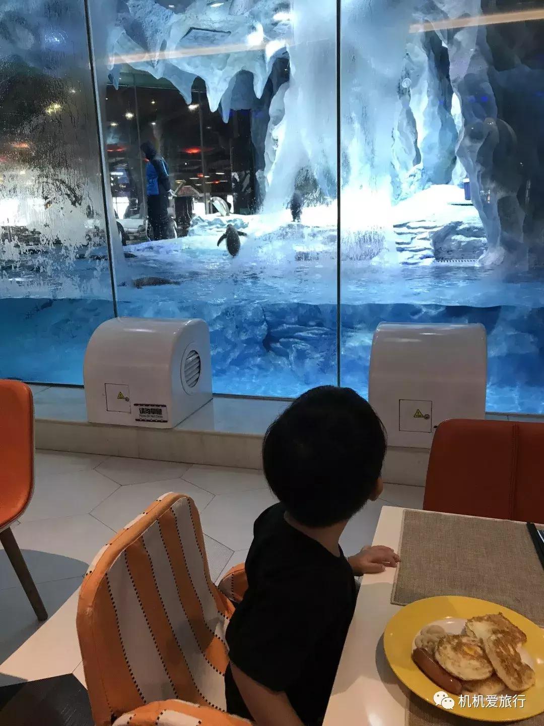 珠海和广州长隆旅游攻略,珠海长隆乐园游玩攻略