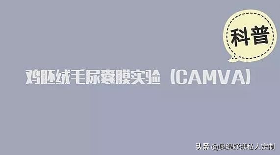 奥缇妤漾净肤凝胶,我们用做了鸡胚胎实验