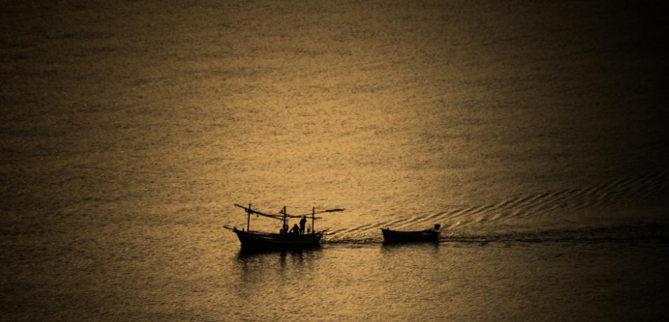 渡人渡心渡自己下一句是什么,渡人渡心渡自己啥意思