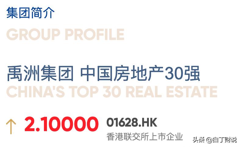 禹洲集团前10个月销售额315.72亿元,禹洲集团2017年净利润