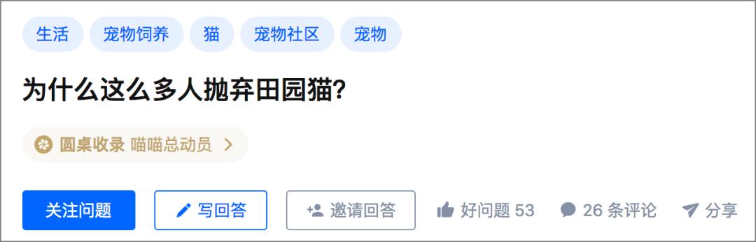 田园猫得了猫瘟，医生劝“别治了，治病的钱够买一只品种猫了…”
