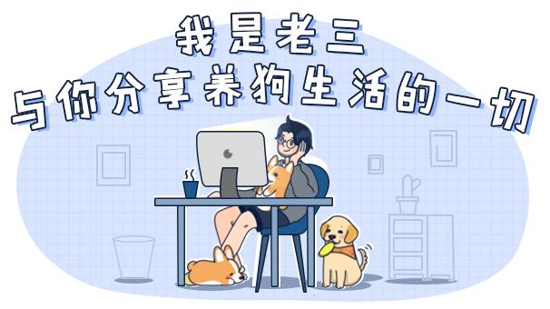 铲屎官的呕吐,狗狗呕吐铲屎官该怎么办