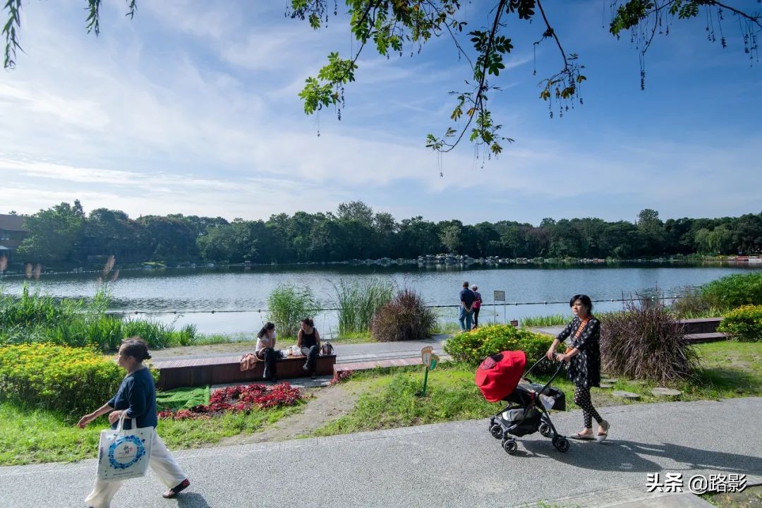 花重锦官城,花重锦官城长安