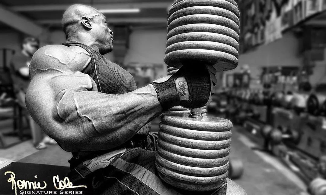 增肌太慢有什么高强度锻炼方法,增肌全身训练顺序应该怎么练