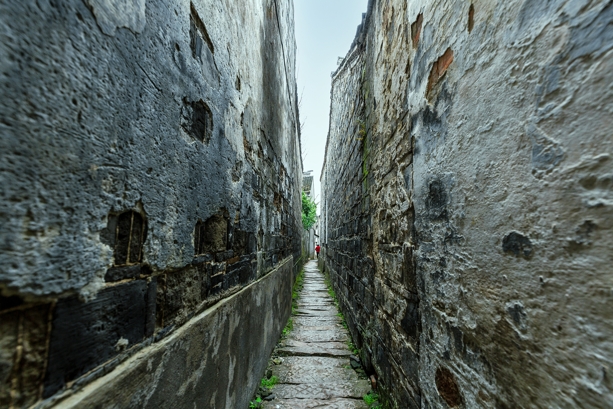 愿为人间客，世世在江南，不如来同里