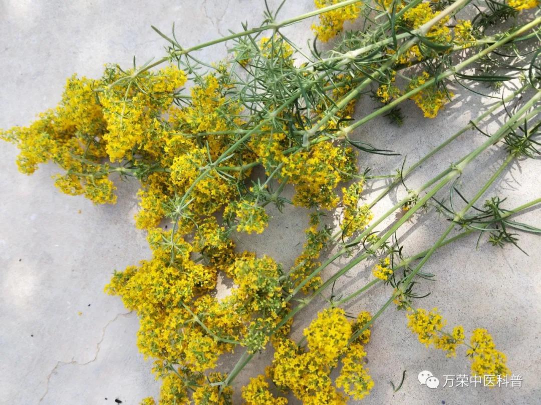 跟我回家在线免费看,跟我回家免费看