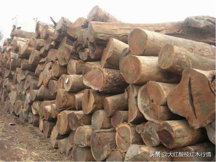 低调的红木家具,鸡翅木家具最好的价格