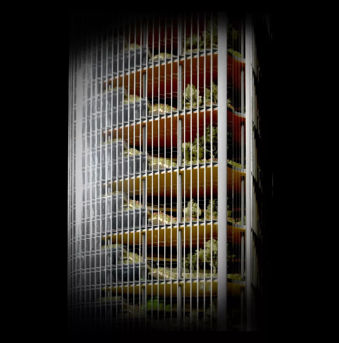 娓告棌鎬婚儴澶у帵瑗垮哺,浼犲獟娓父鏃忓ぇ鍘﹁鍒掑浘