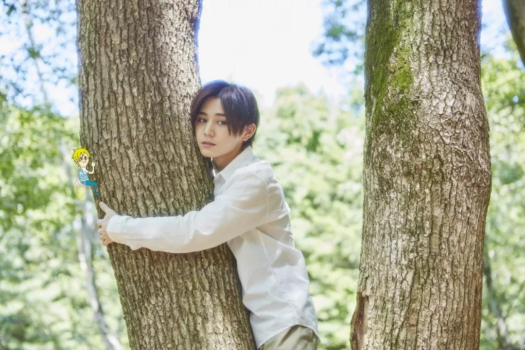 日本众女神争艳,40部夏季档日剧全攻略