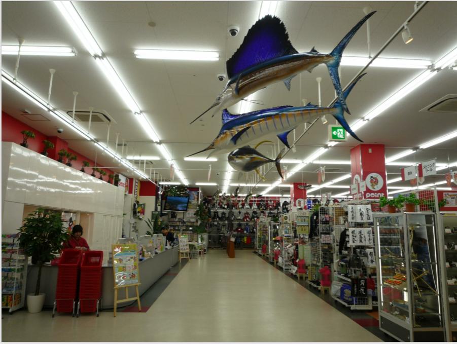 日本渔具店铺,日本钓具店装备推荐