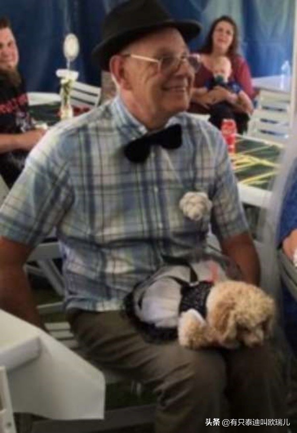 寻找完美沙发！爷带爱犬到家具店一一试躺狗狗：这我买惹