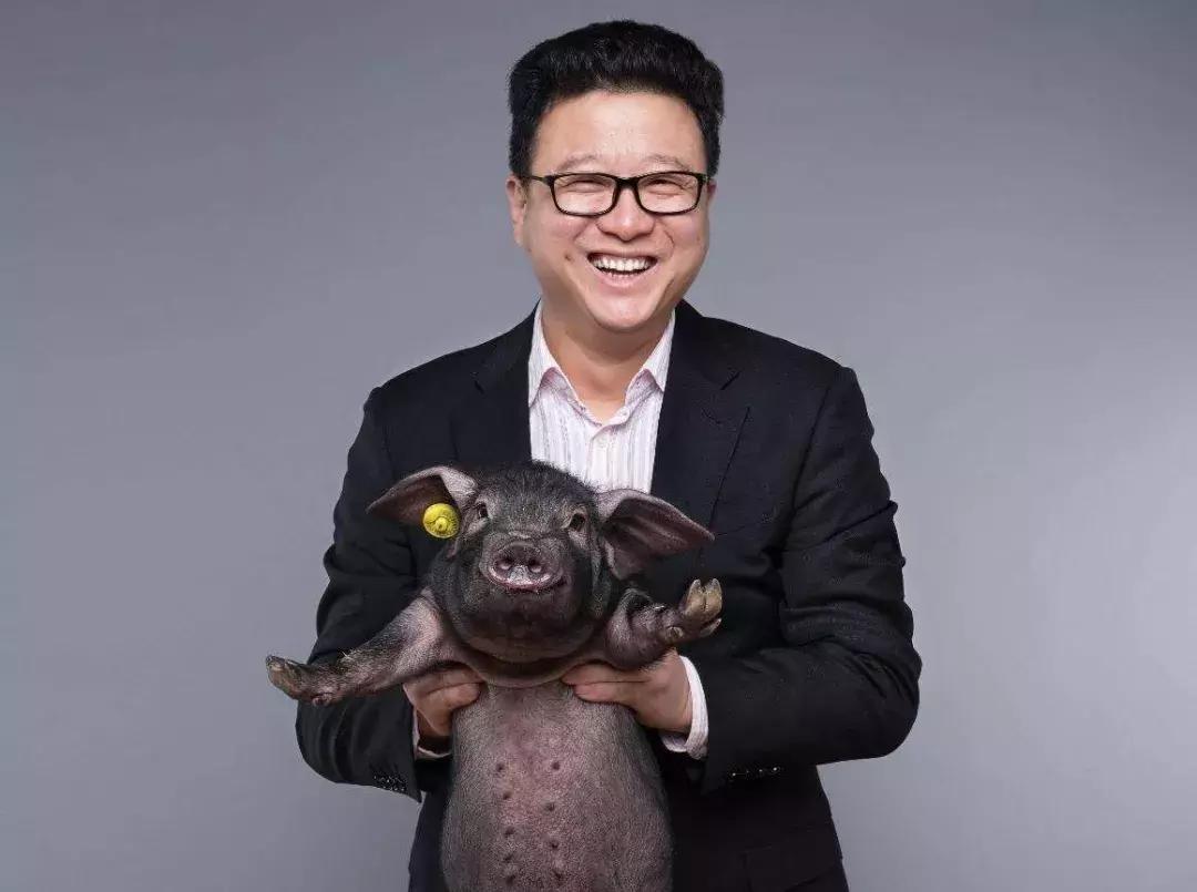 大佬们都是开始养猪了吗,各界大佬纷纷入局养猪