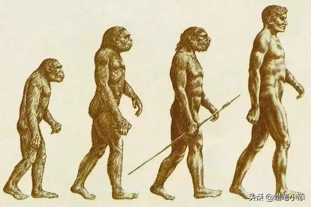 javaweb发展历程,java的spring框架讲解