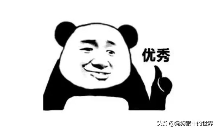 狗狗感冒好了没几天又感冒了,狗狗感冒好了之后还是没精神