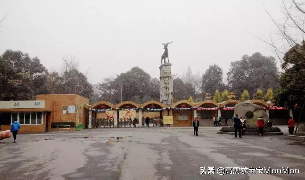 周末去哪儿儿童乐园,儿童去哪儿旅行